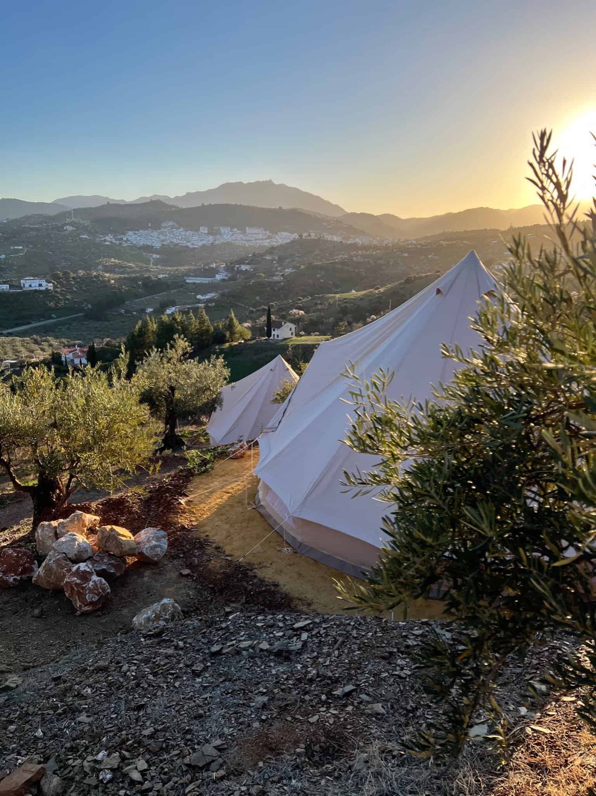 Inside a 24m bell tent with quality beds