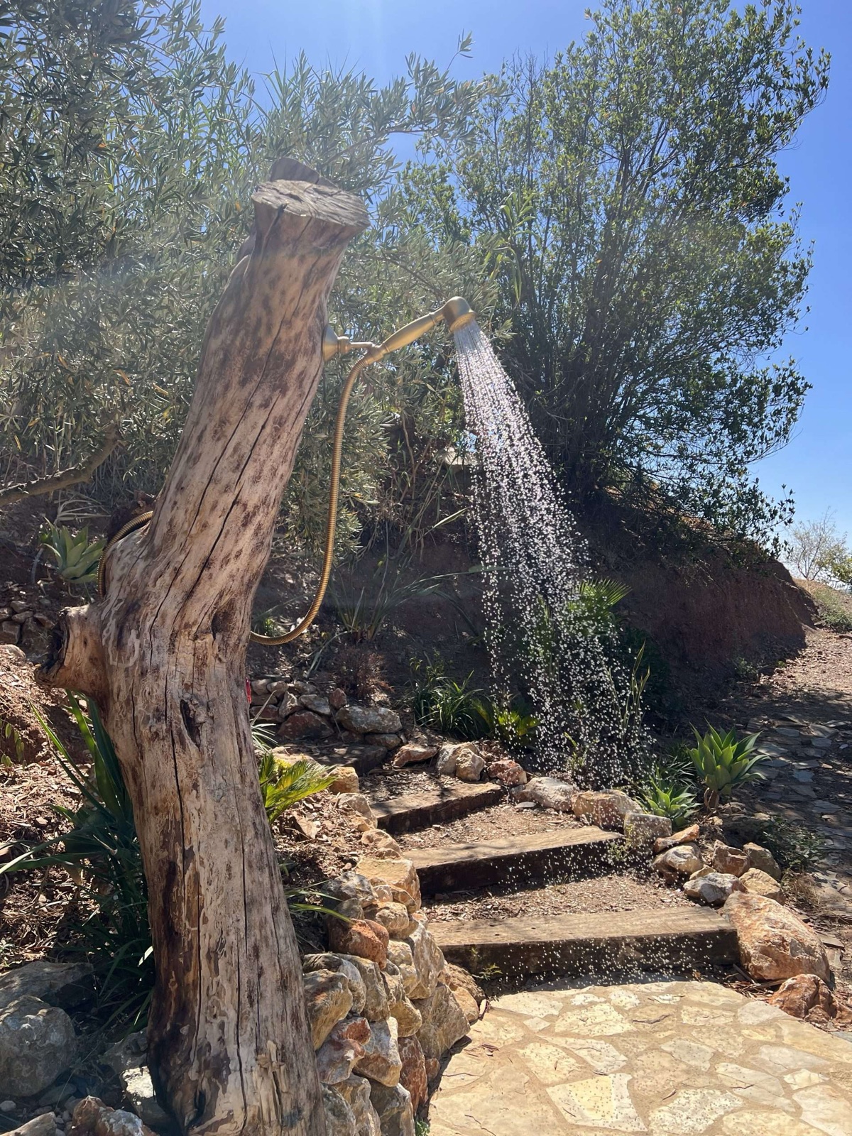 Four-person jacuzzi between olive trees