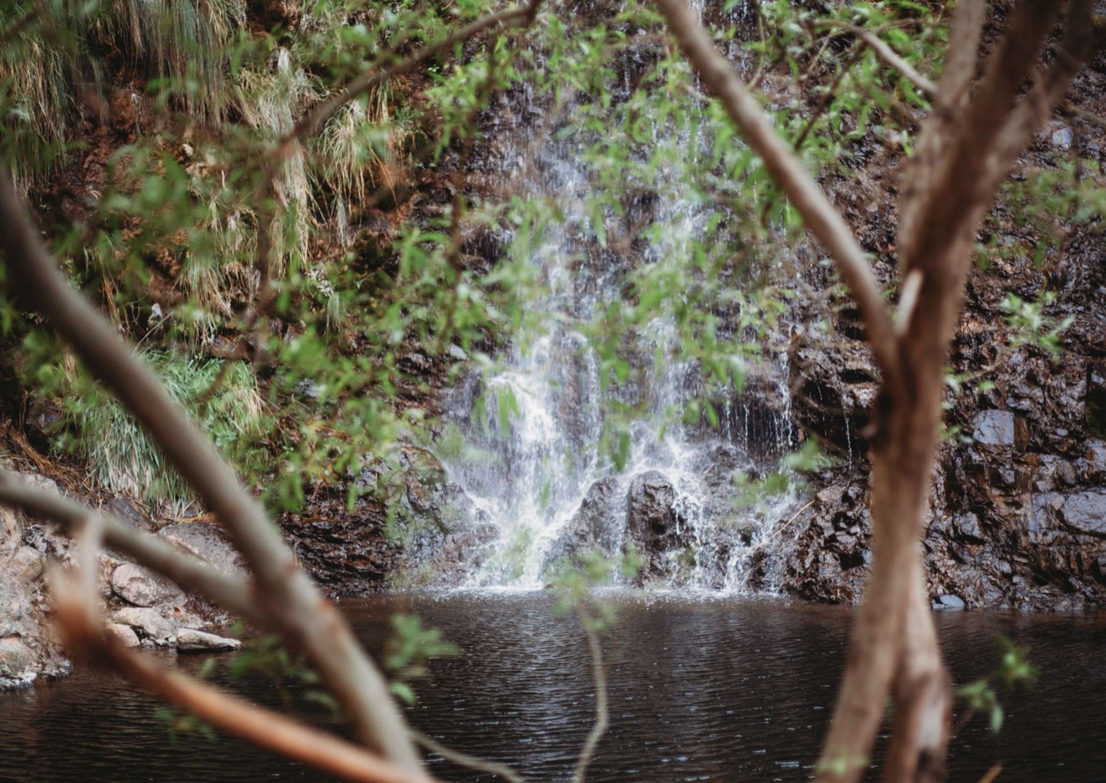 Hiking trails through Sierra de las Nieves National Park