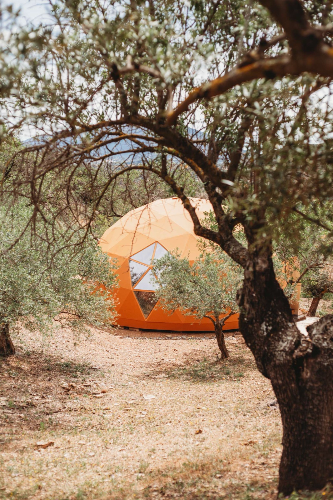 Inside the Wisdome geodesic dome