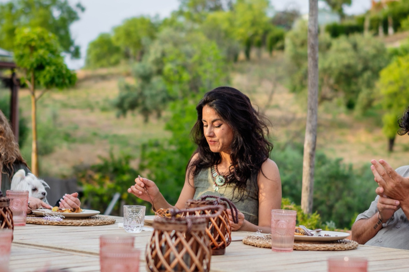 A quiet dinner under the olive trees