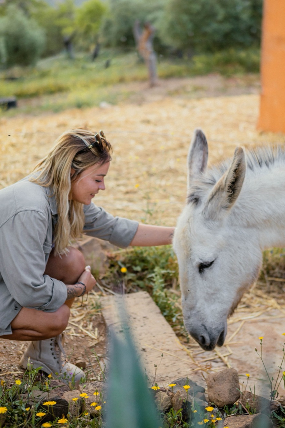 A guest meeting one of the resident donkeys