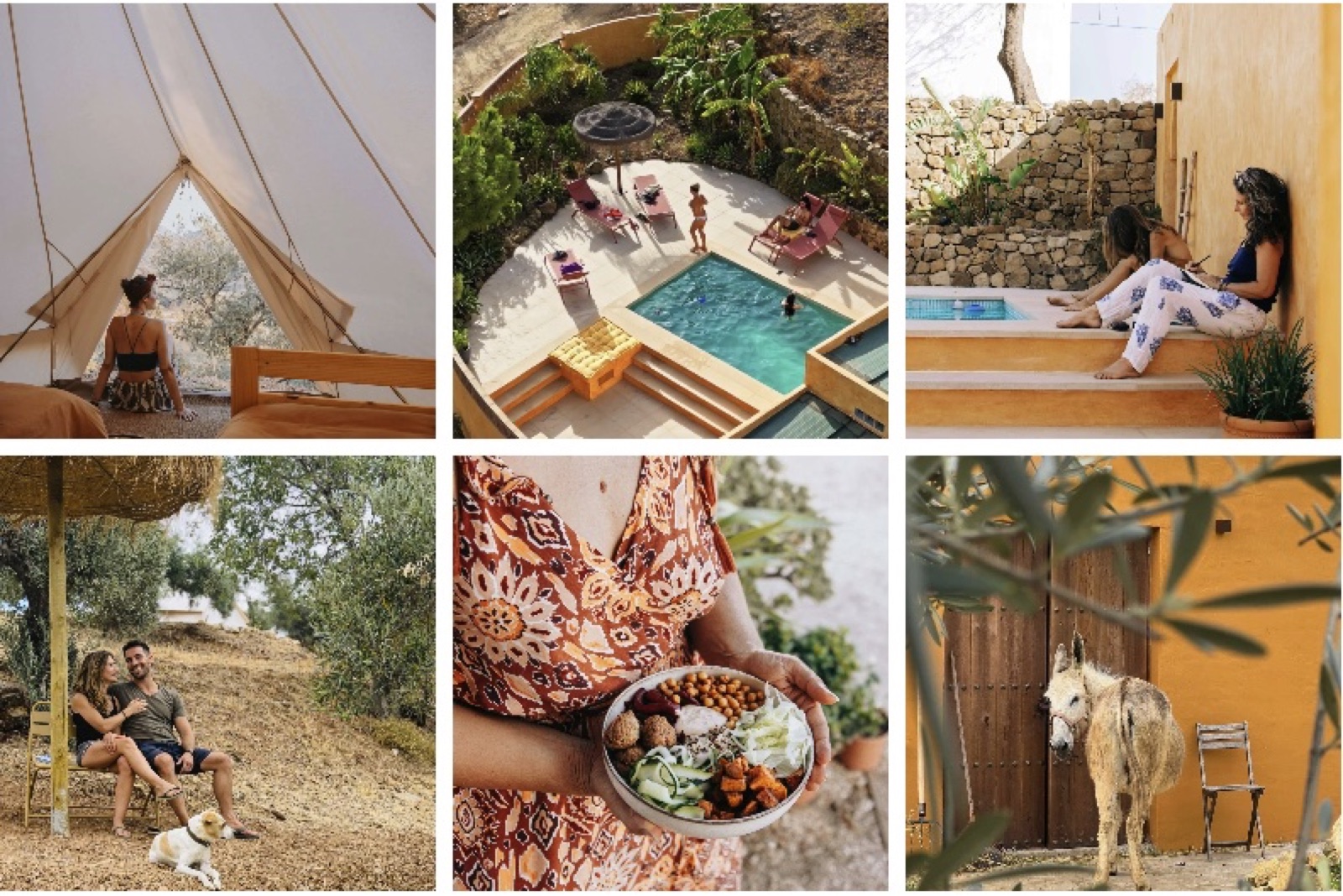Glimpses of the retreat &mdash; bell tents, pool, olive groves, food and donkeys
